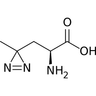 Brand seal