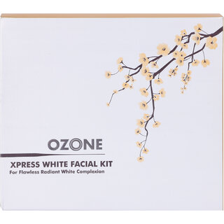 ozone xpress white facial kit