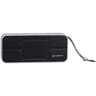 Zebronics Portable Bluetooth Speaker with USB Support Micro SD Card AUX FM Call Function and Volume Control - Brew_450clone.
