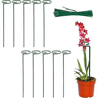 46 cm Iron Garden Stake (Pack of 2) - Durable Plant Support and Landscape Stabilizer for Flowers, Vegetables, - Hardware, Tools and Home Safety | Buy online on ZillyBuy