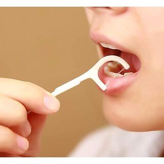  pack of 10 dental toothpick flossers toothpick cleaners for oral care