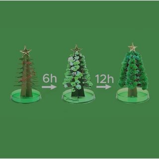 everyday diy christmas new year magic growing
