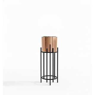 essentials online india