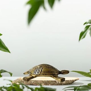 decor online india