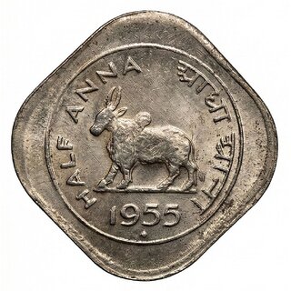 essentials online india