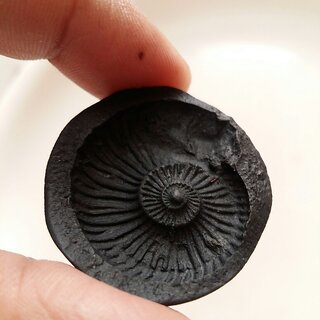 Brand seal