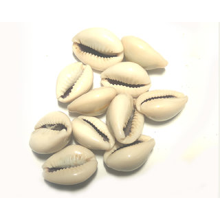 essentials online india
